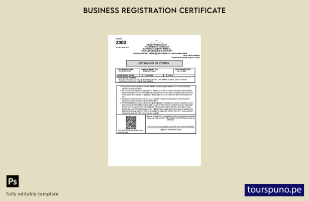 listo para imprimir certificado de registro de Filipinas Plantilla de Word y PDF